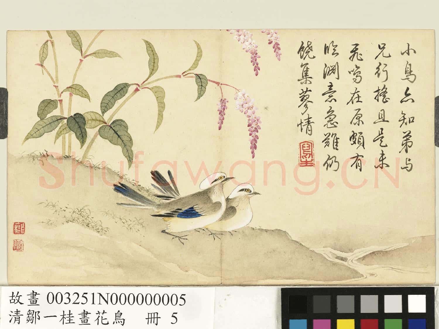 清鄒一桂畫花鳥 冊 紅蓼鶺鴒