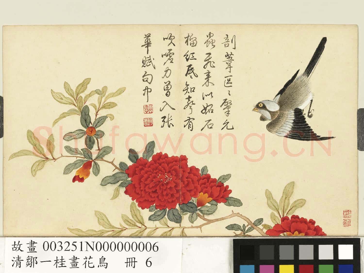 清鄒一桂畫花鳥 冊 石榴翎毛