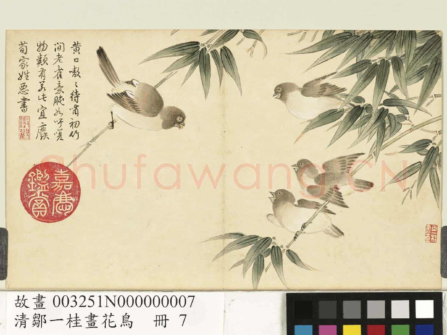 清鄒一桂畫花鳥 冊 竹雀