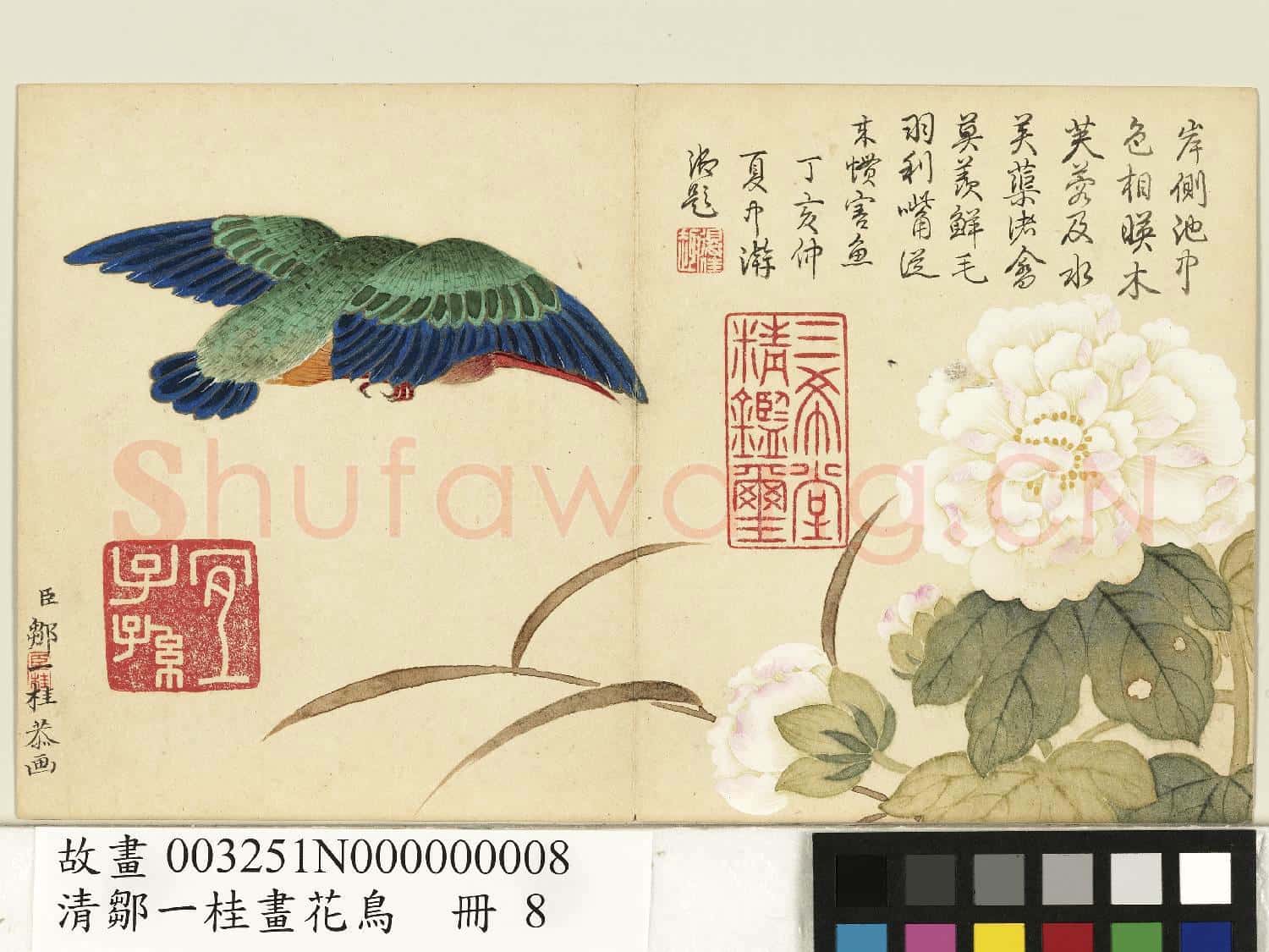 清鄒一桂畫花鳥 冊 芙蓉翠鳥