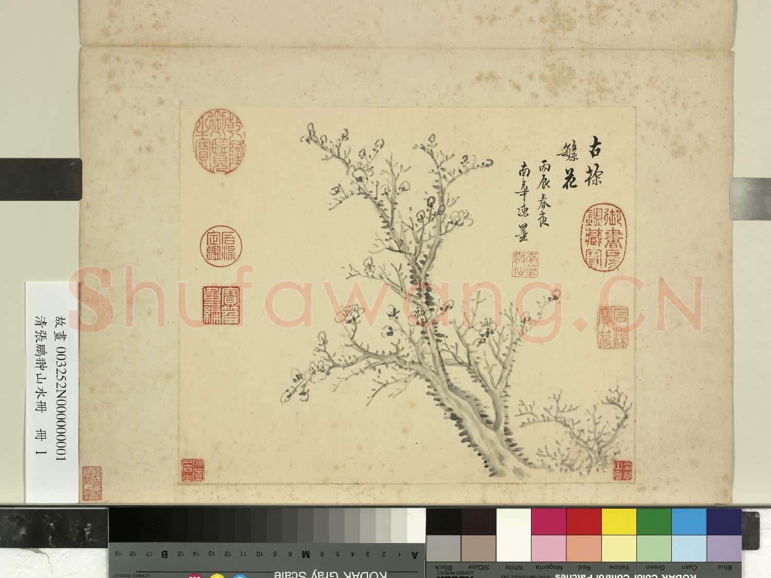 清張鵬翀山水冊 冊 古幹繁花