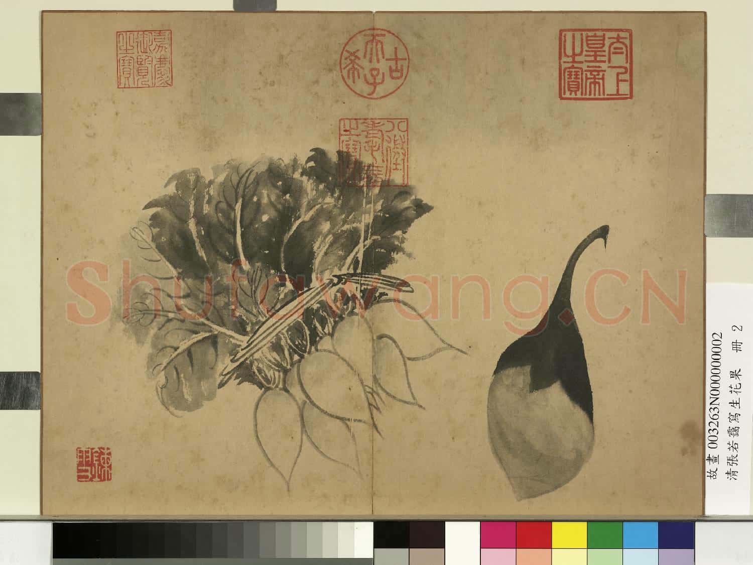清張若靄寫生花果 冊 蘿蔔與茄