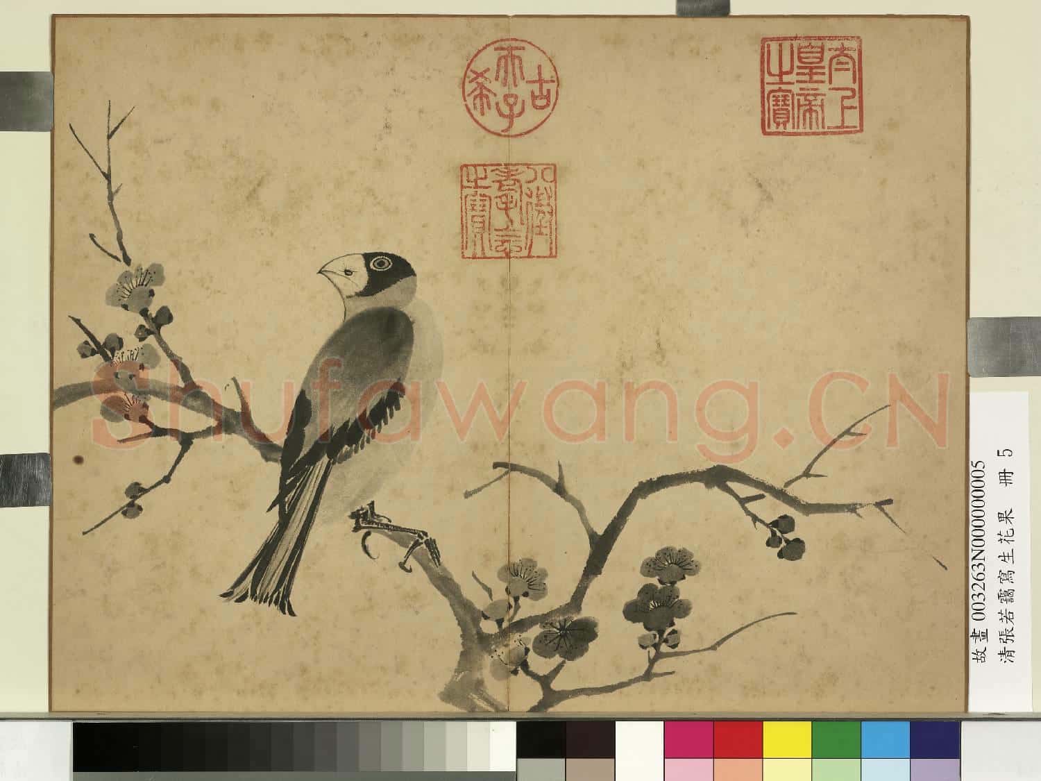 清張若靄寫生花果 冊 梅花蠟嘴