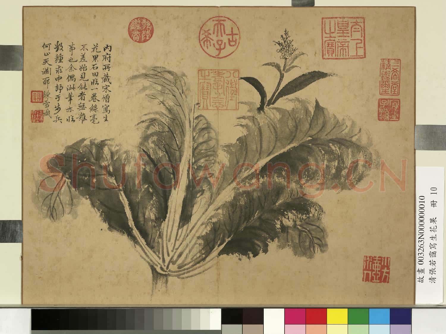 清張若靄寫生花果 冊 菘