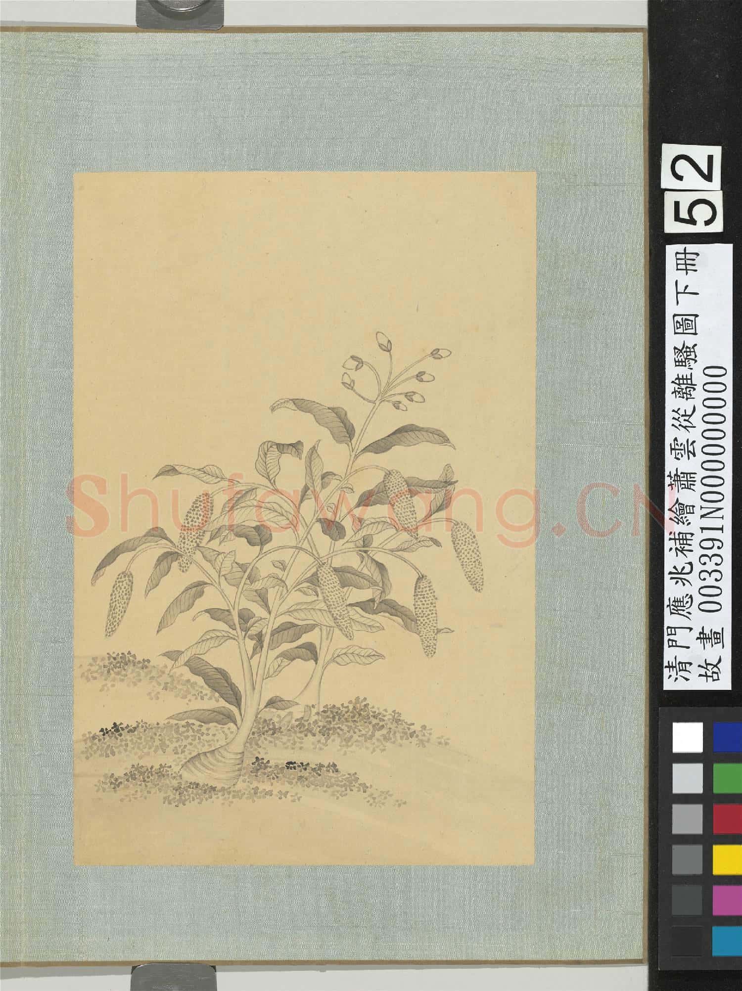 清門應兆補繪蕭雲從離騷圖下冊.冊.杜衡(馬蹄香)故畫