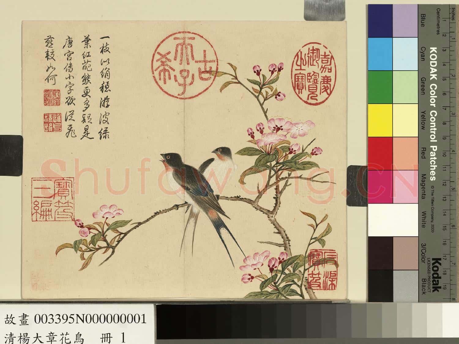 清楊大章花鳥.冊.海棠燕子故畫