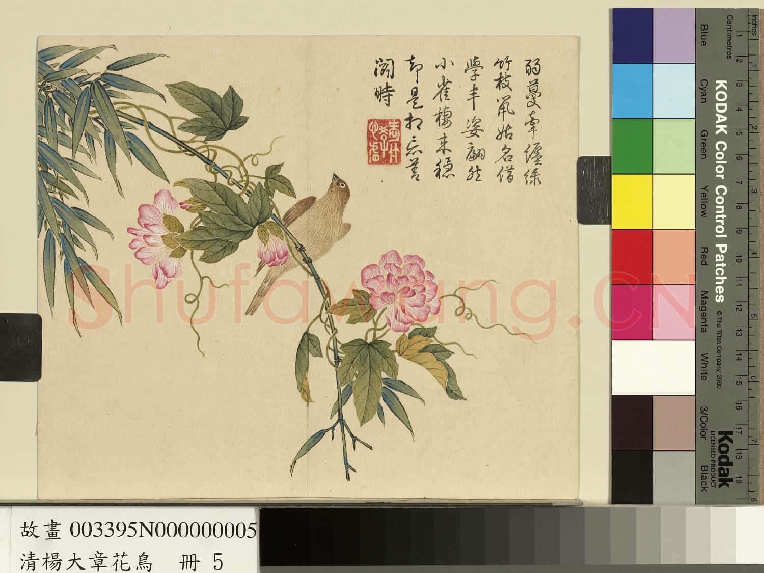清楊大章花鳥.冊.纏枝牡丹黃雀故畫