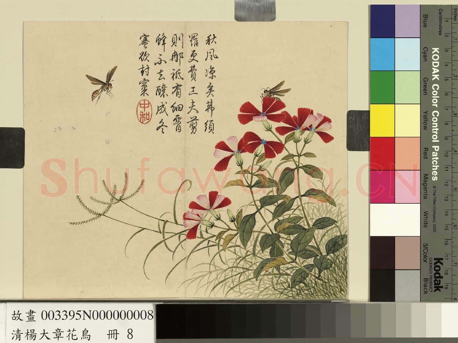 清楊大章花鳥.冊.剪秋羅蜜蜂故畫