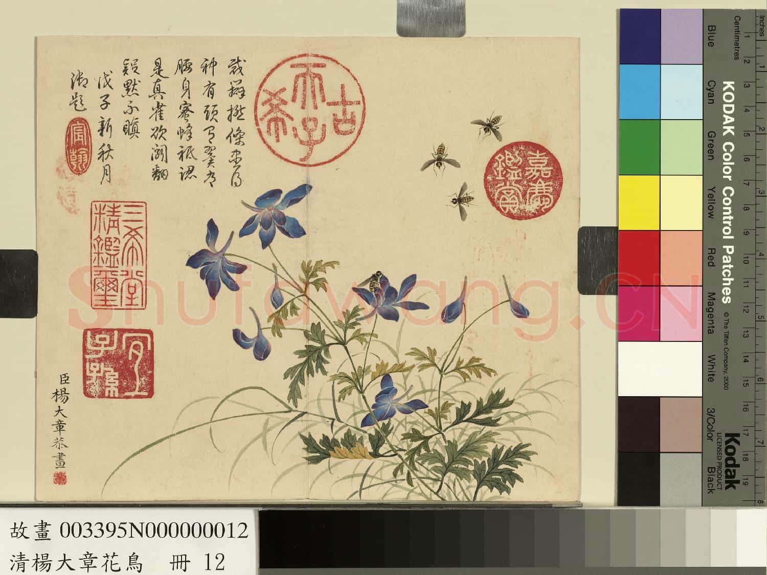 清楊大章花鳥.冊.藍雀花蜜蜂故畫