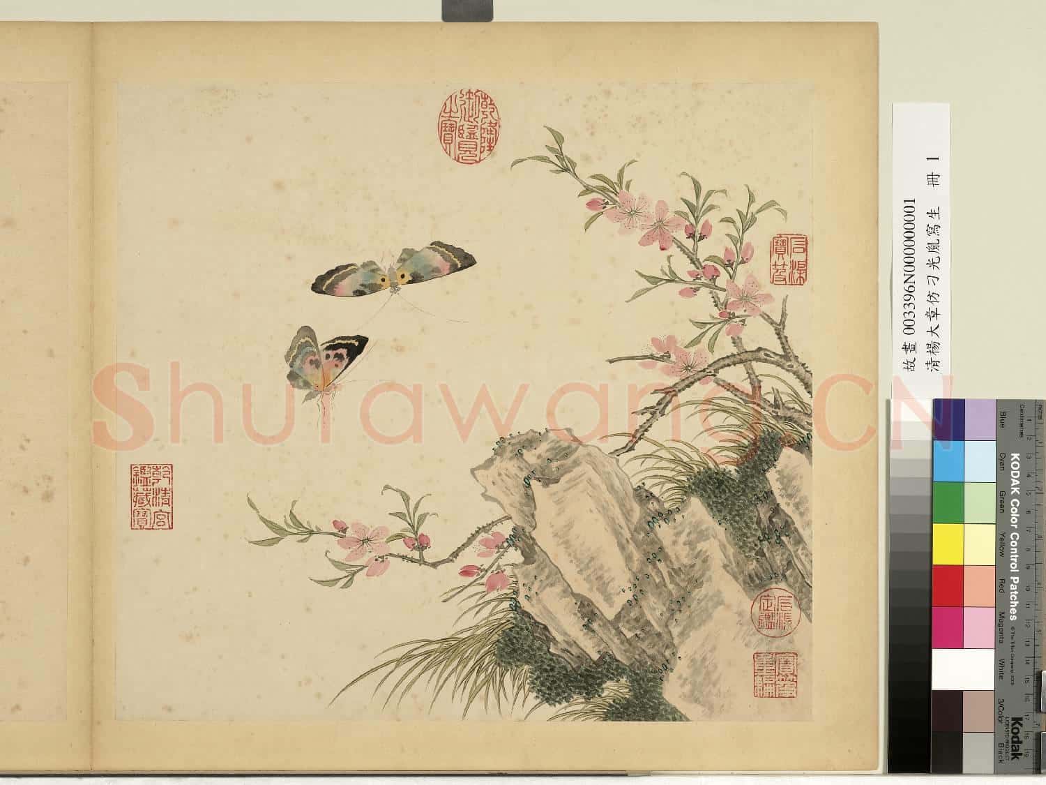 清楊大章仿刁光胤寫生.冊.桃花雙蝶故畫