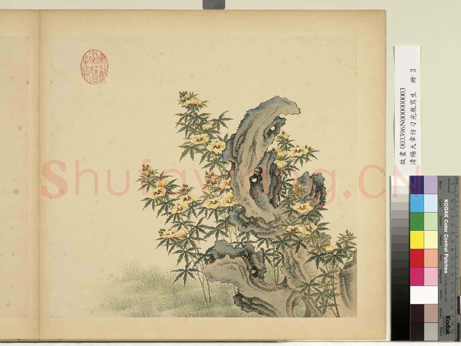 清楊大章仿刁光胤寫生.冊.秋葵奇石故畫