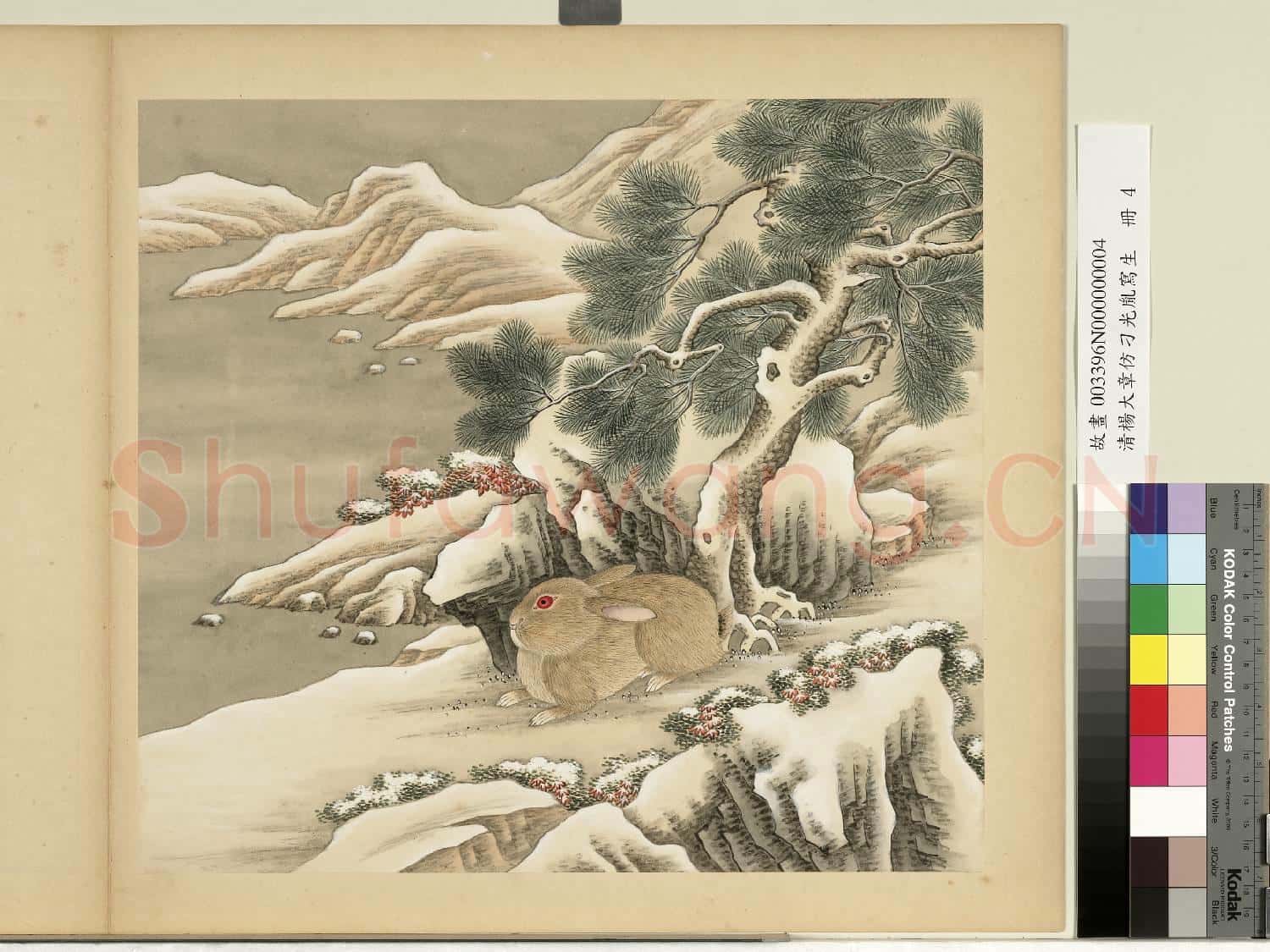 清楊大章仿刁光胤寫生.冊.喬松臥兔故畫