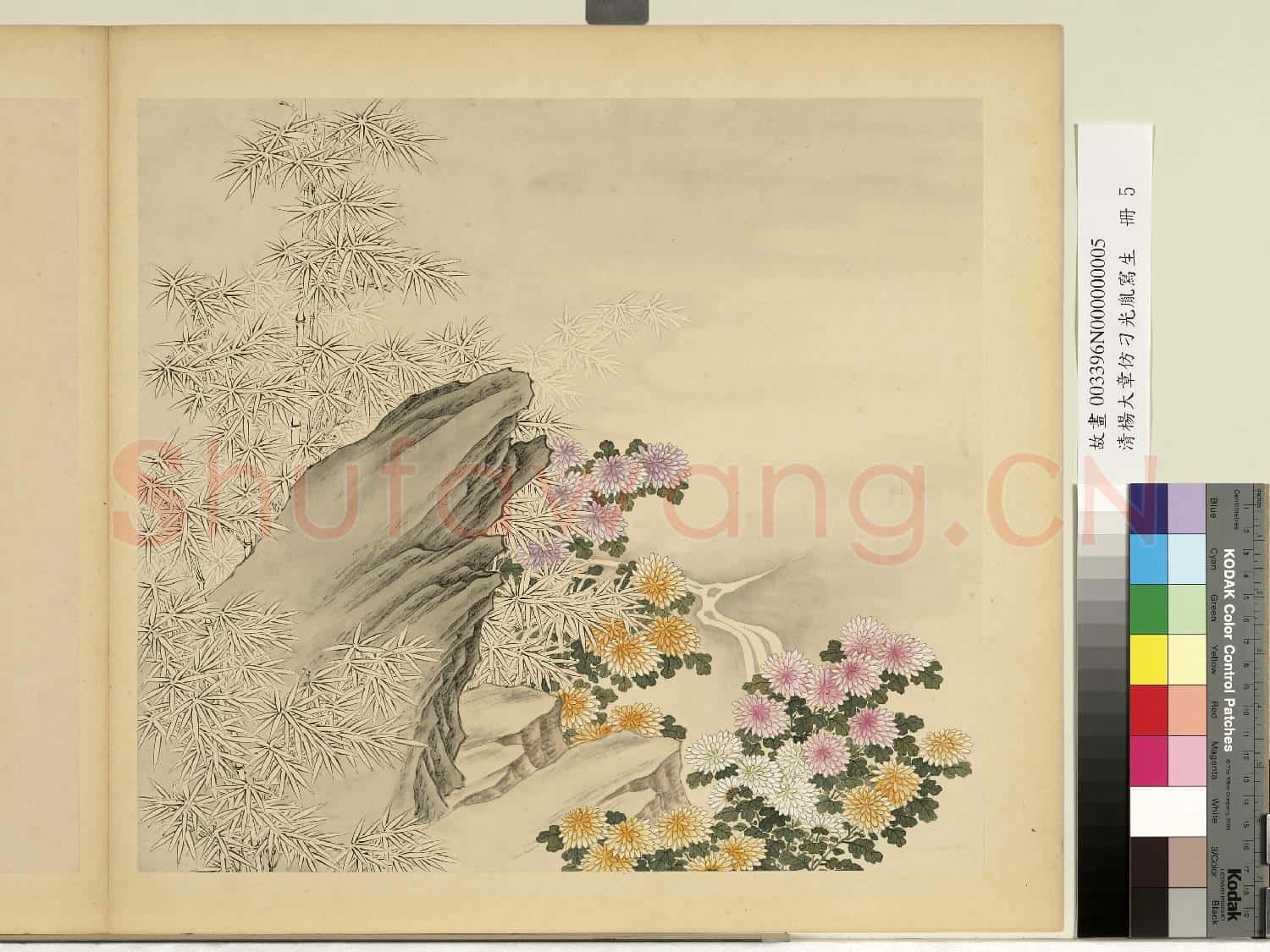 清楊大章仿刁光胤寫生.冊.竹菊泉石故畫