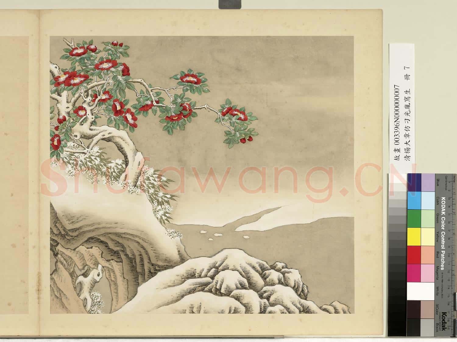 清楊大章仿刁光胤寫生.冊.茶花竹子故畫