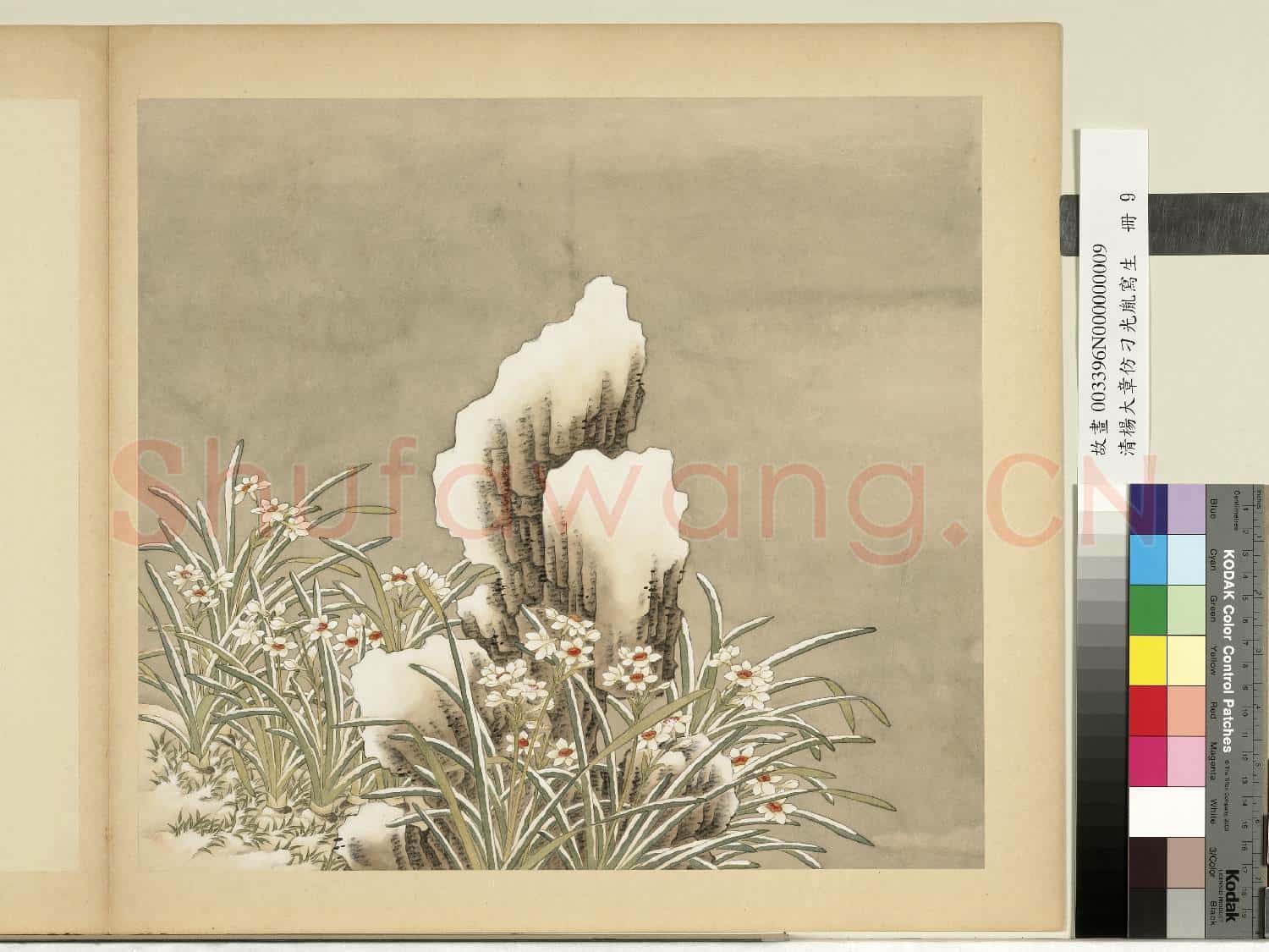 清楊大章仿刁光胤寫生.冊.水仙倚石故畫