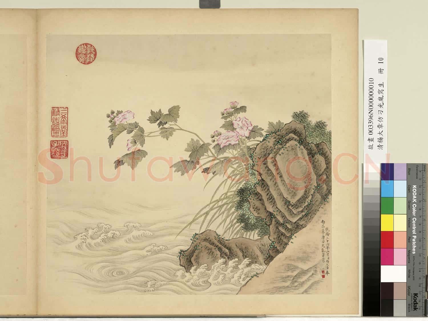 清楊大章仿刁光胤寫生.冊.芙蓉石岸故畫