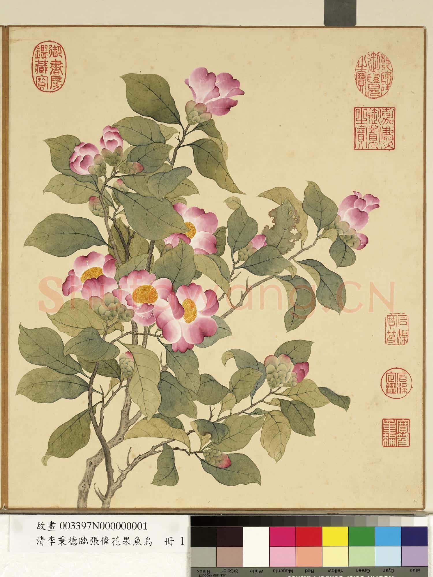 清李秉德臨張偉花果魚鳥.冊.山茶故畫
