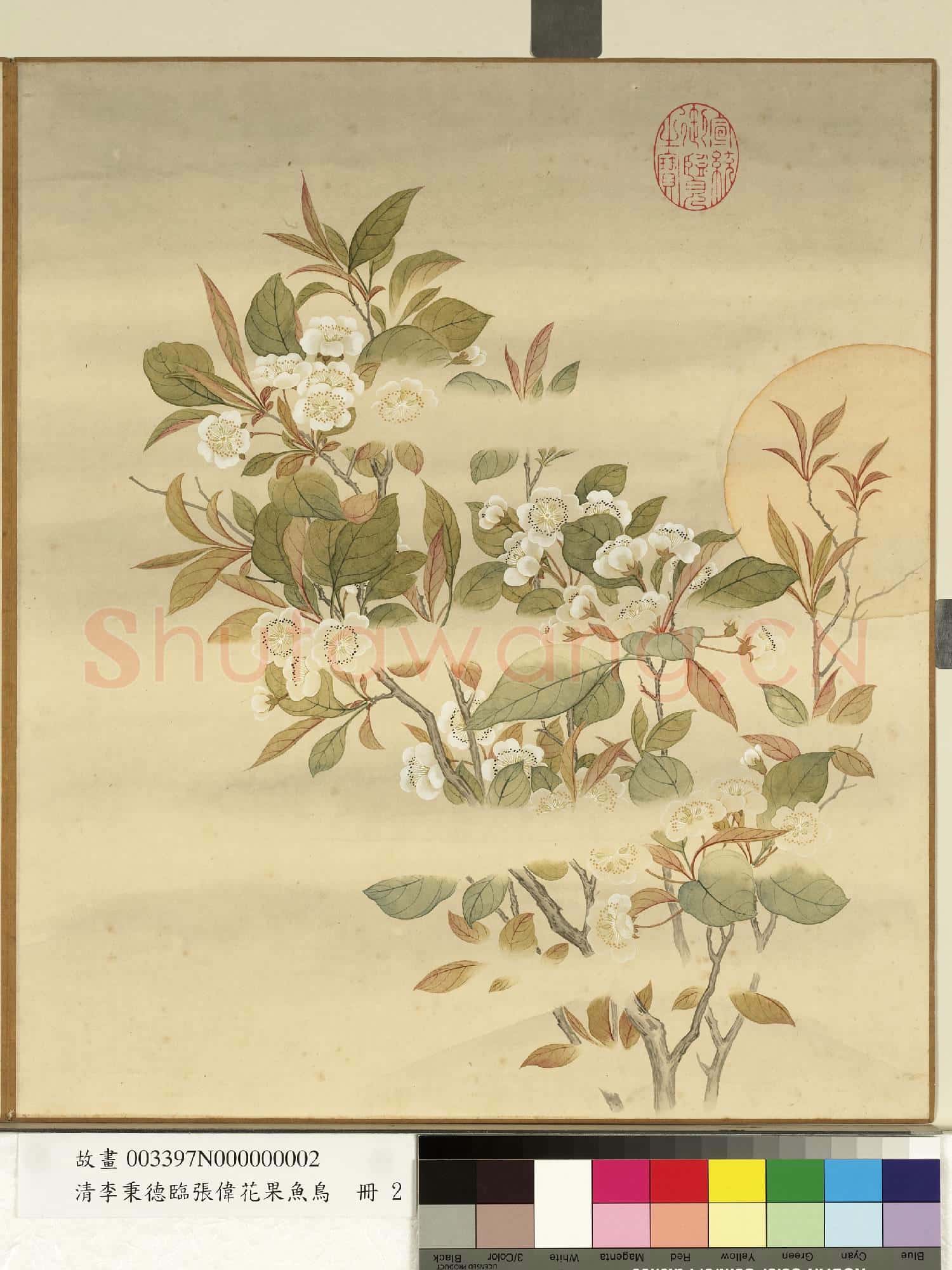 清李秉德臨張偉花果魚鳥.冊.月下梨花故畫