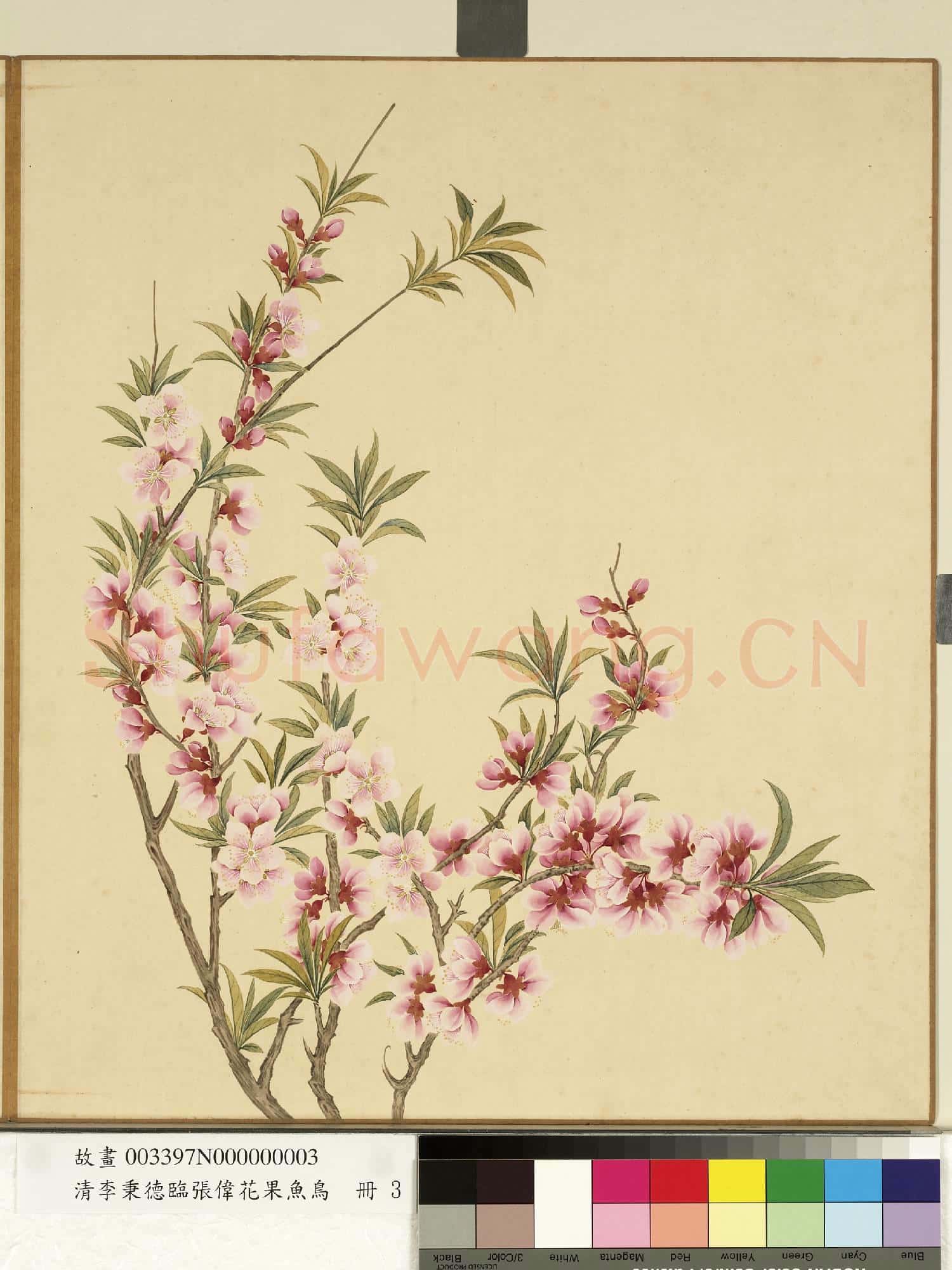 清李秉德臨張偉花果魚鳥.冊.桃花故畫