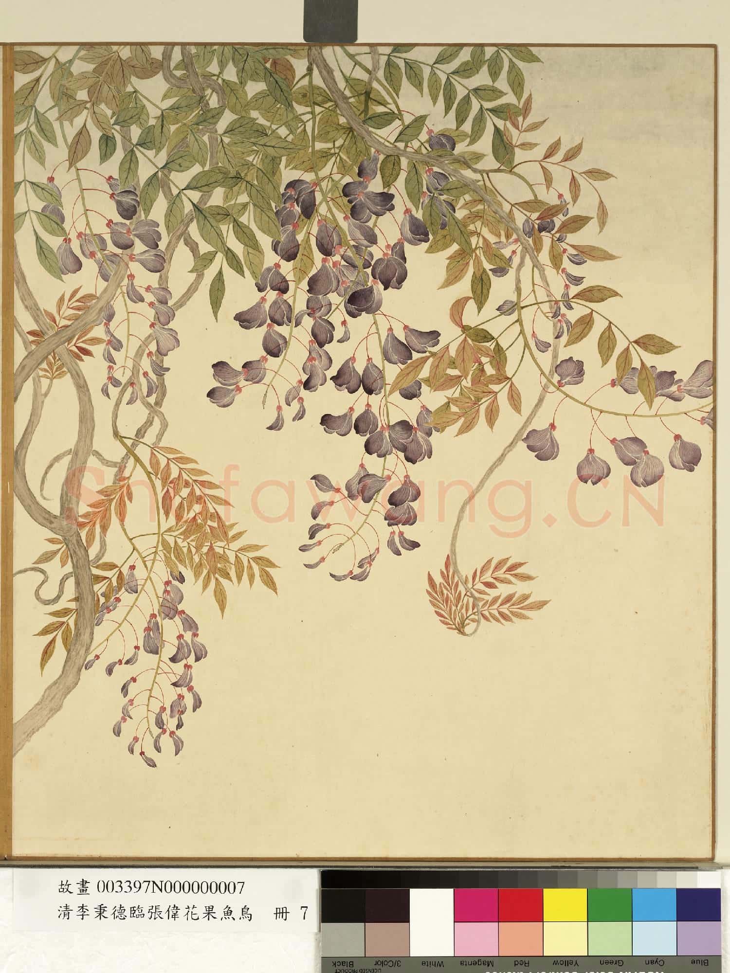 清李秉德臨張偉花果魚鳥.冊.藤花故畫