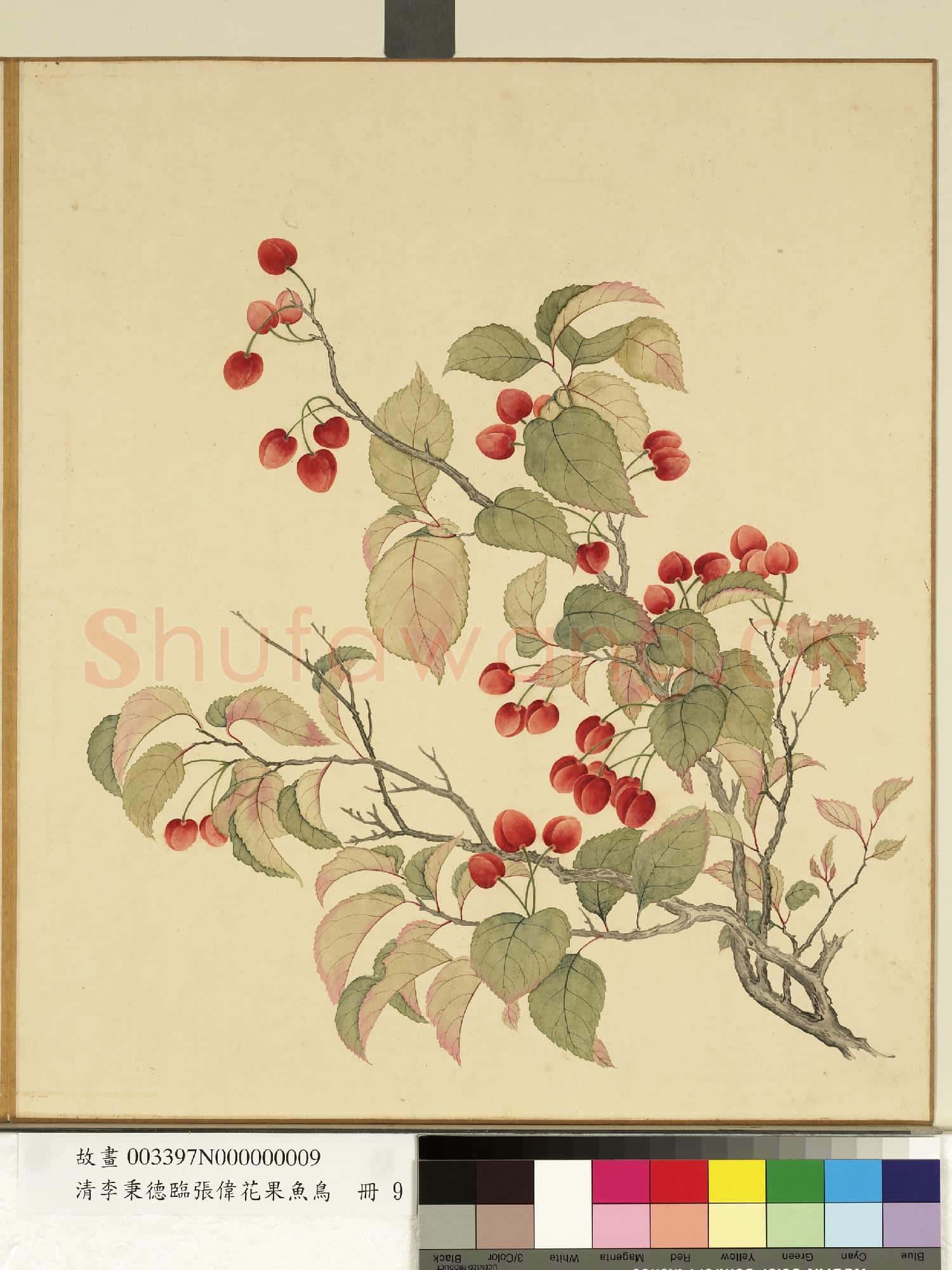 清李秉德臨張偉花果魚鳥.冊.櫻桃故畫