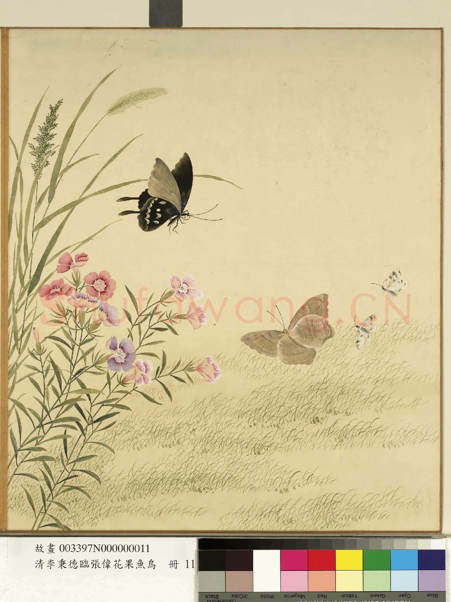 清李秉德臨張偉花果魚鳥.冊.石竹蛺蝶故畫