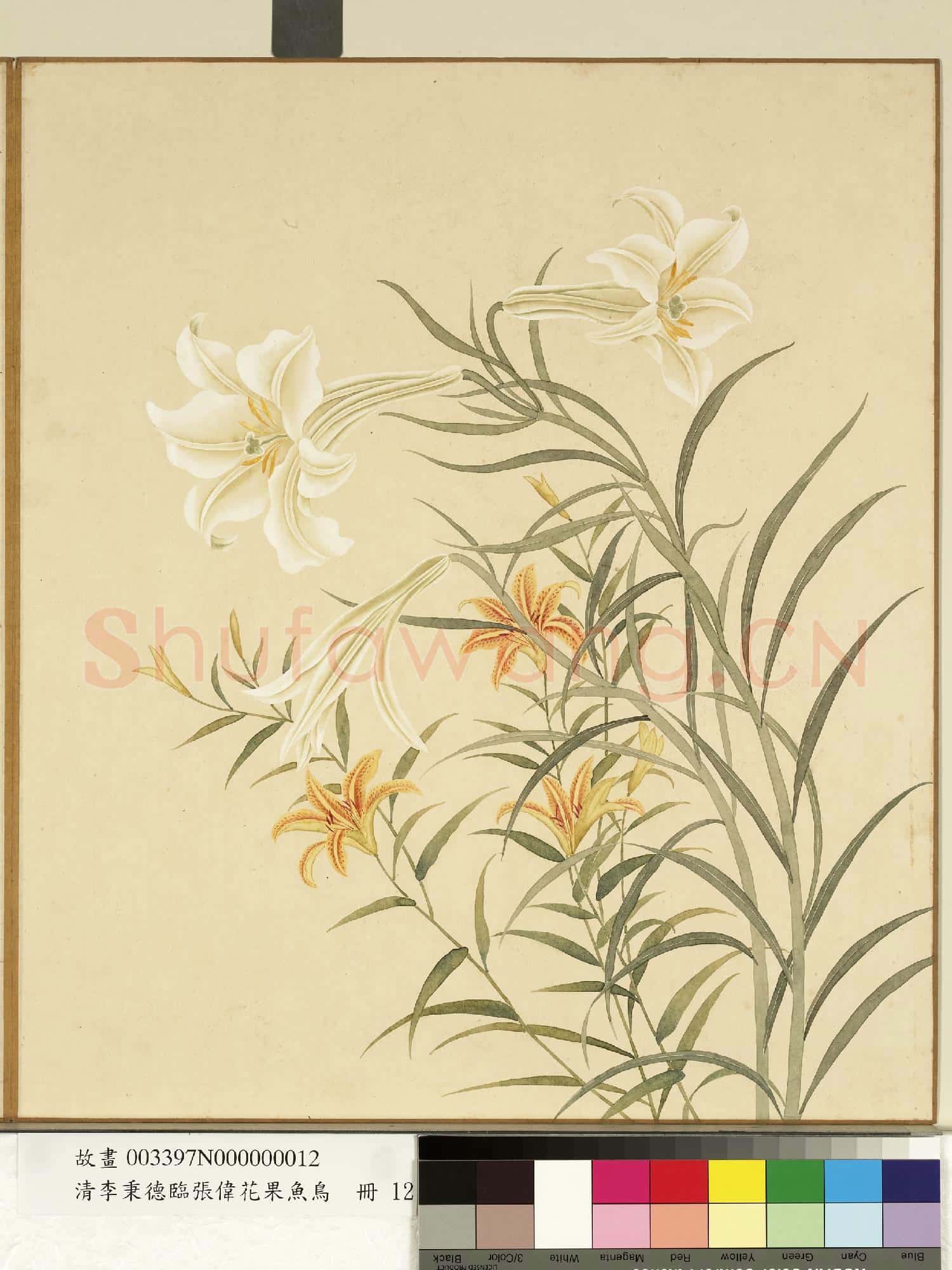 清李秉德臨張偉花果魚鳥.冊.萱花百合故畫