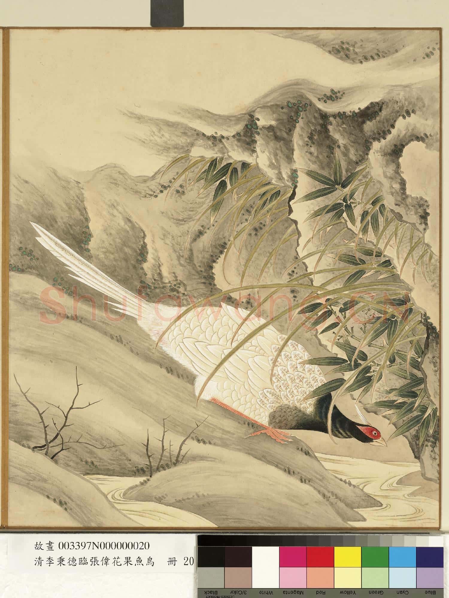 清李秉德臨張偉花果魚鳥.冊.竹石山雞故畫