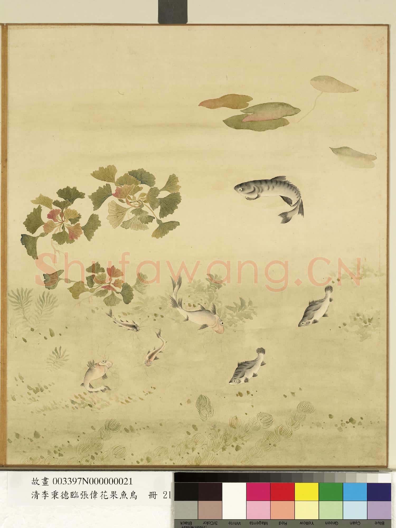 清李秉德臨張偉花果魚鳥.冊.蔆魚故畫