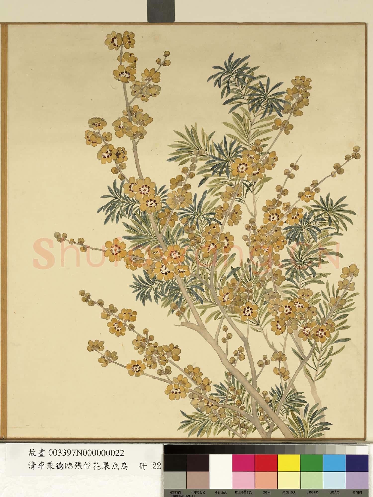 清李秉德臨張偉花果魚鳥.冊.臘梅故畫