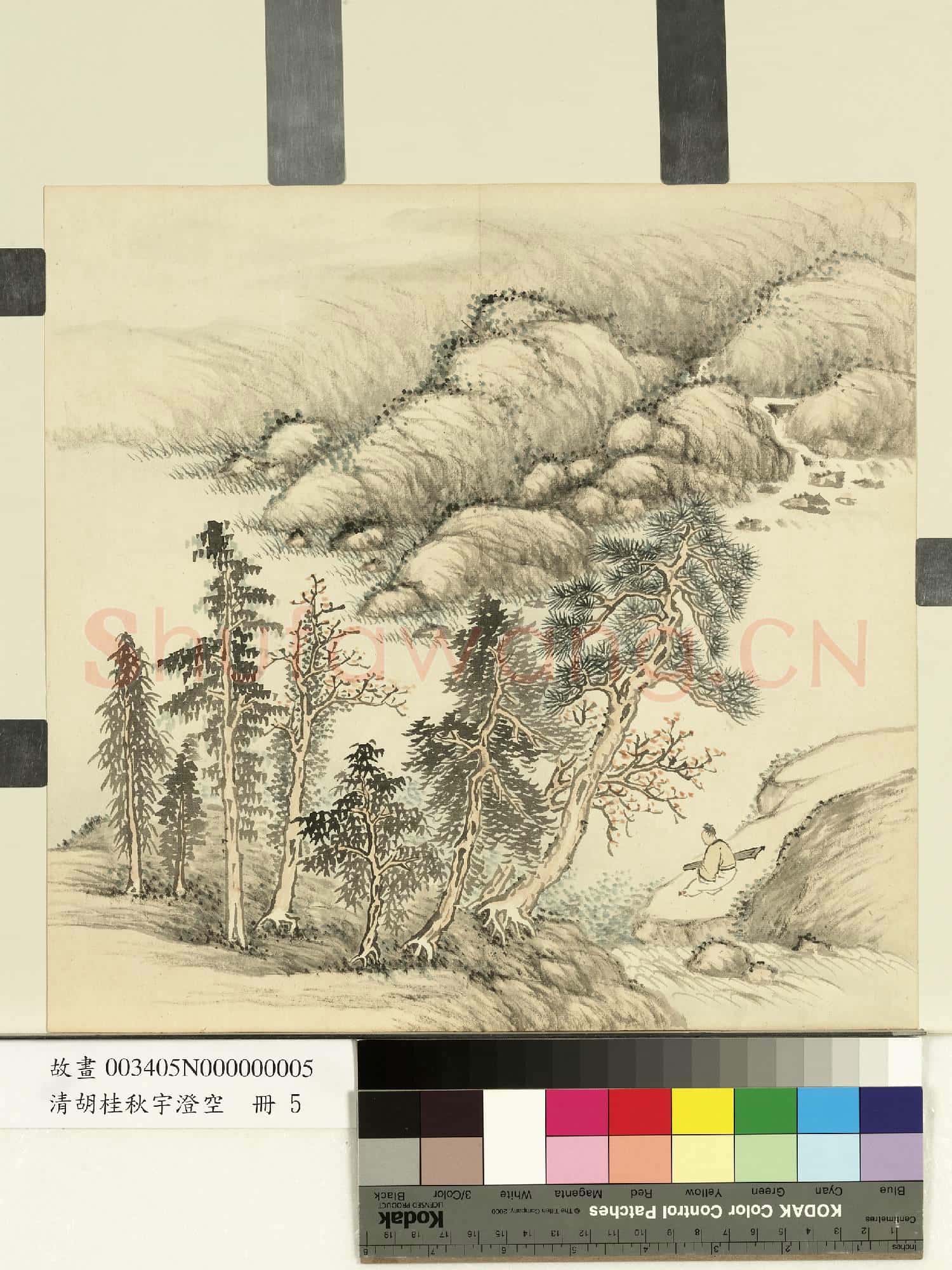 清胡桂秋宇澄空.冊.撫琴聽泉故畫