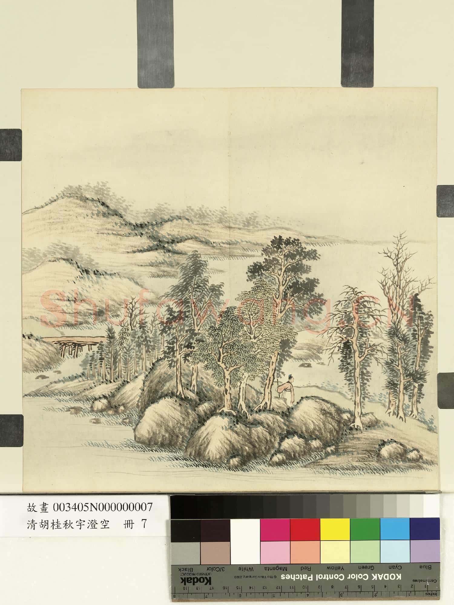 清胡桂秋宇澄空.冊.秋林策杖故畫