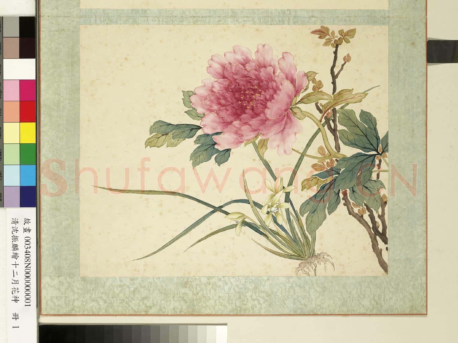 清沈振麟繪十二月花神.冊.蘭花牡丹故畫