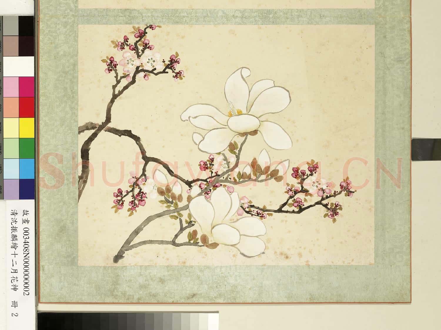 清沈振麟繪十二月花神.冊.杏花辛夷故畫
