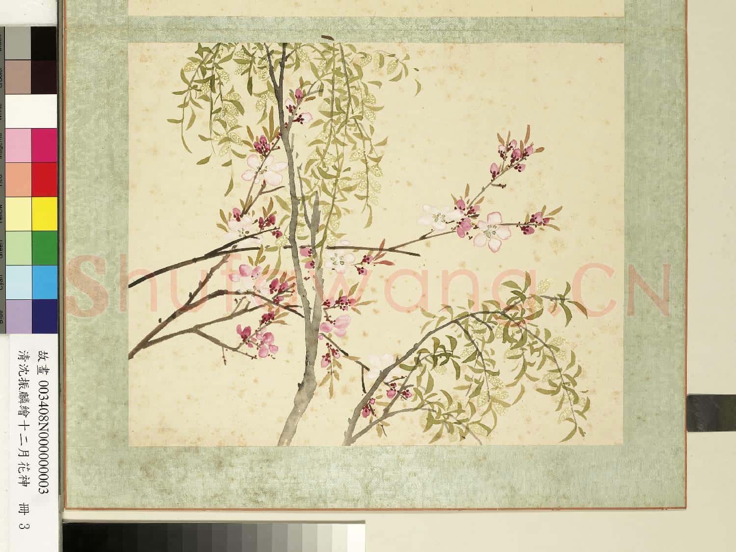 清沈振麟繪十二月花神.冊.楊柳桃花故畫