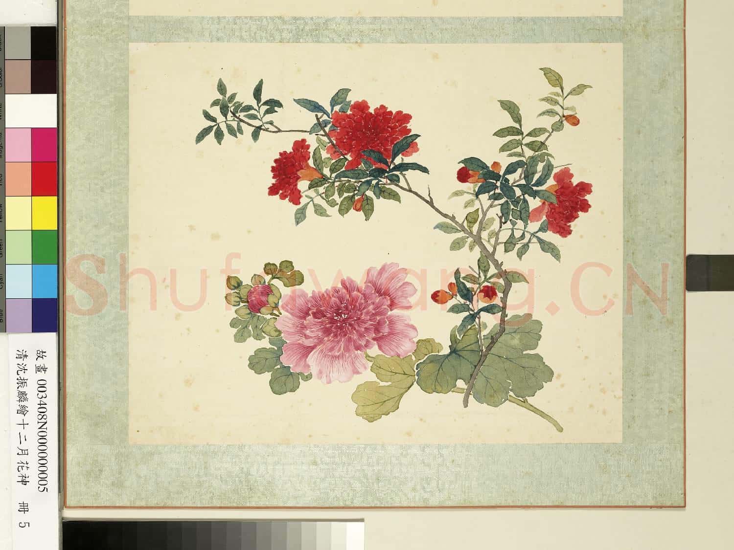 清沈振麟繪十二月花神.冊.蜀葵石榴故畫