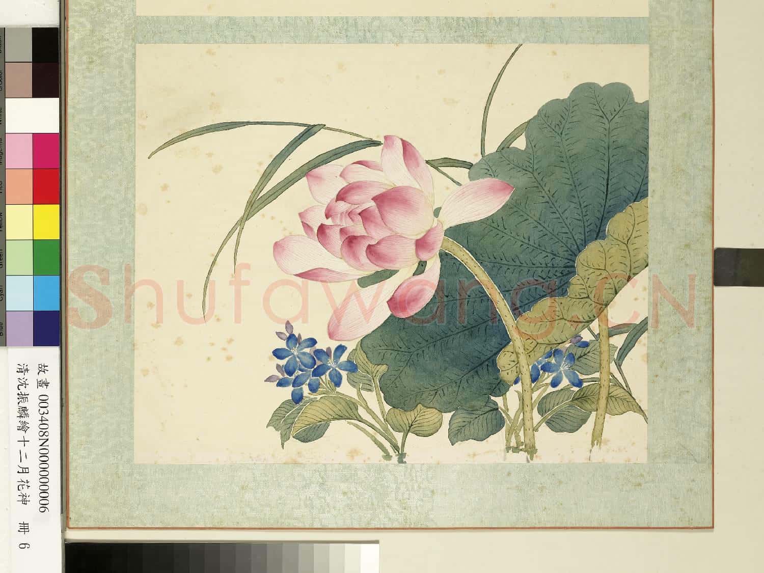 清沈振麟繪十二月花神.冊.蓮花故畫
