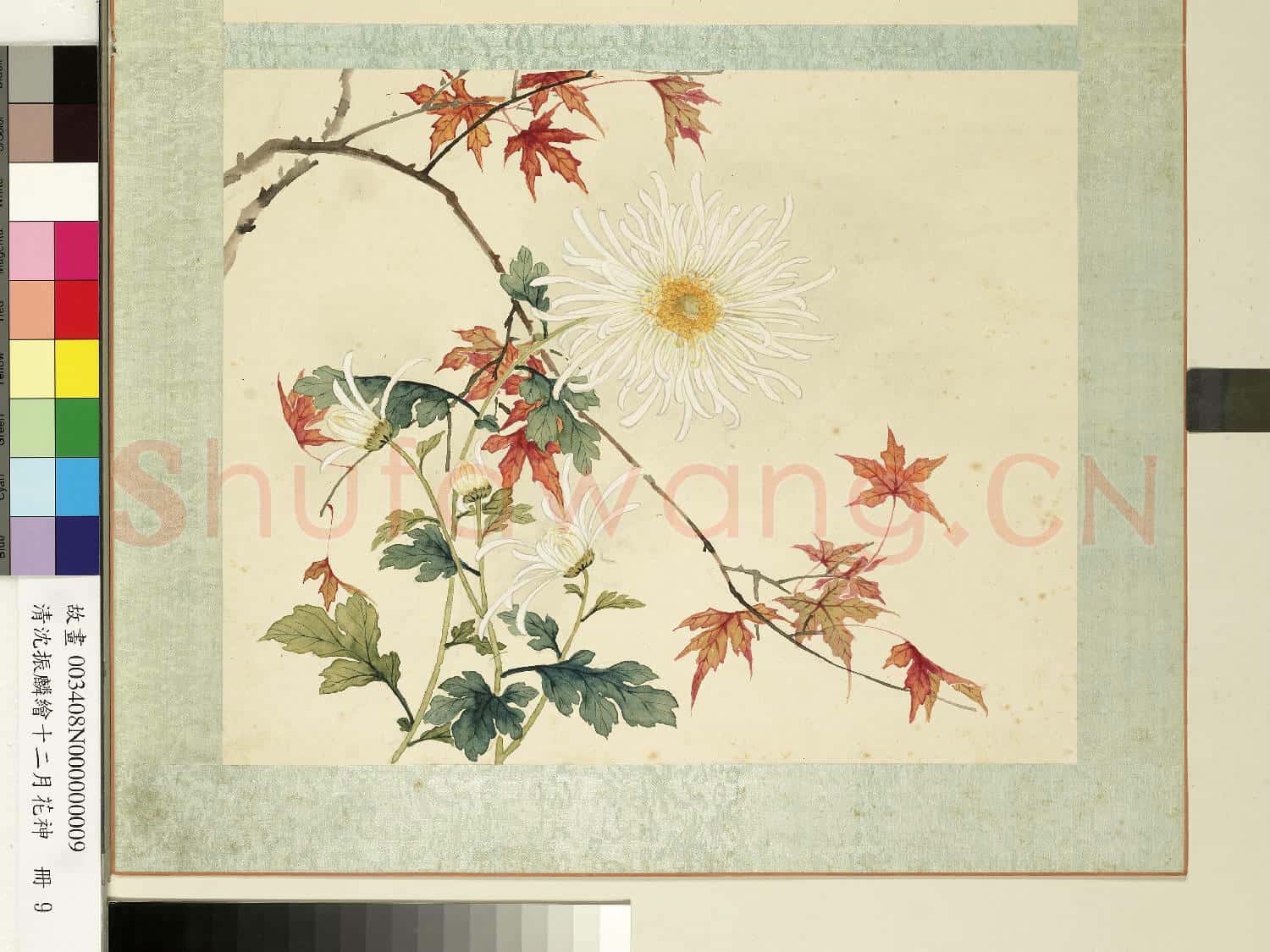 清沈振麟繪十二月花神.冊.菊花楓樹故畫