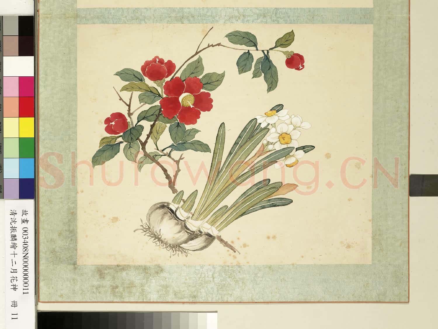 清沈振麟繪十二月花神.冊.水仙茶花故畫