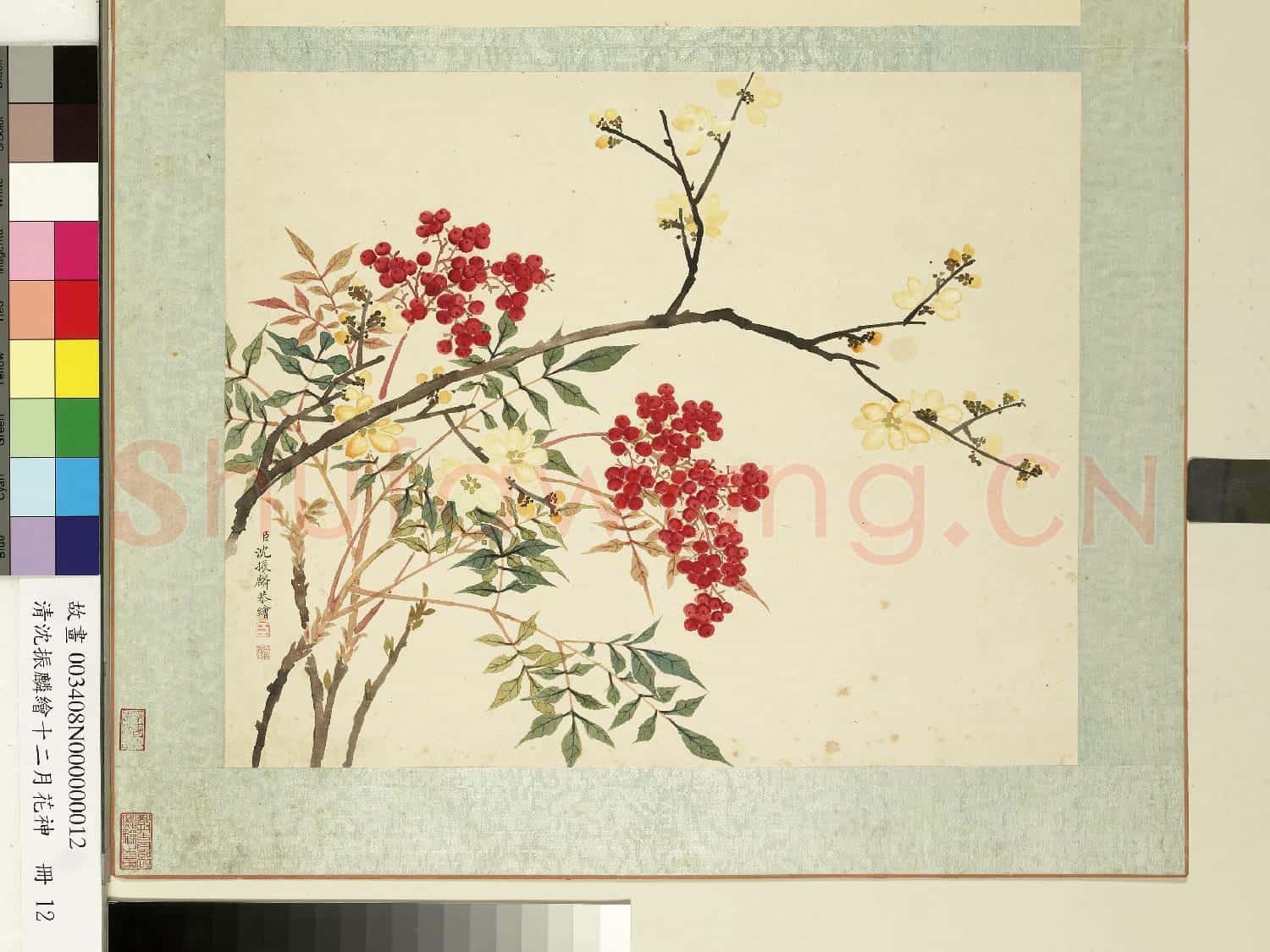 清沈振麟繪十二月花神.冊.臘梅南天竺故畫