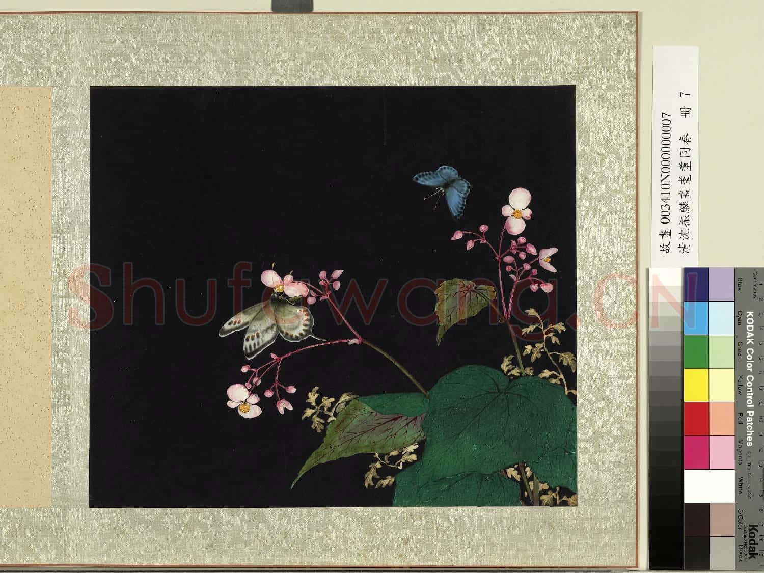 清沈振麟畫