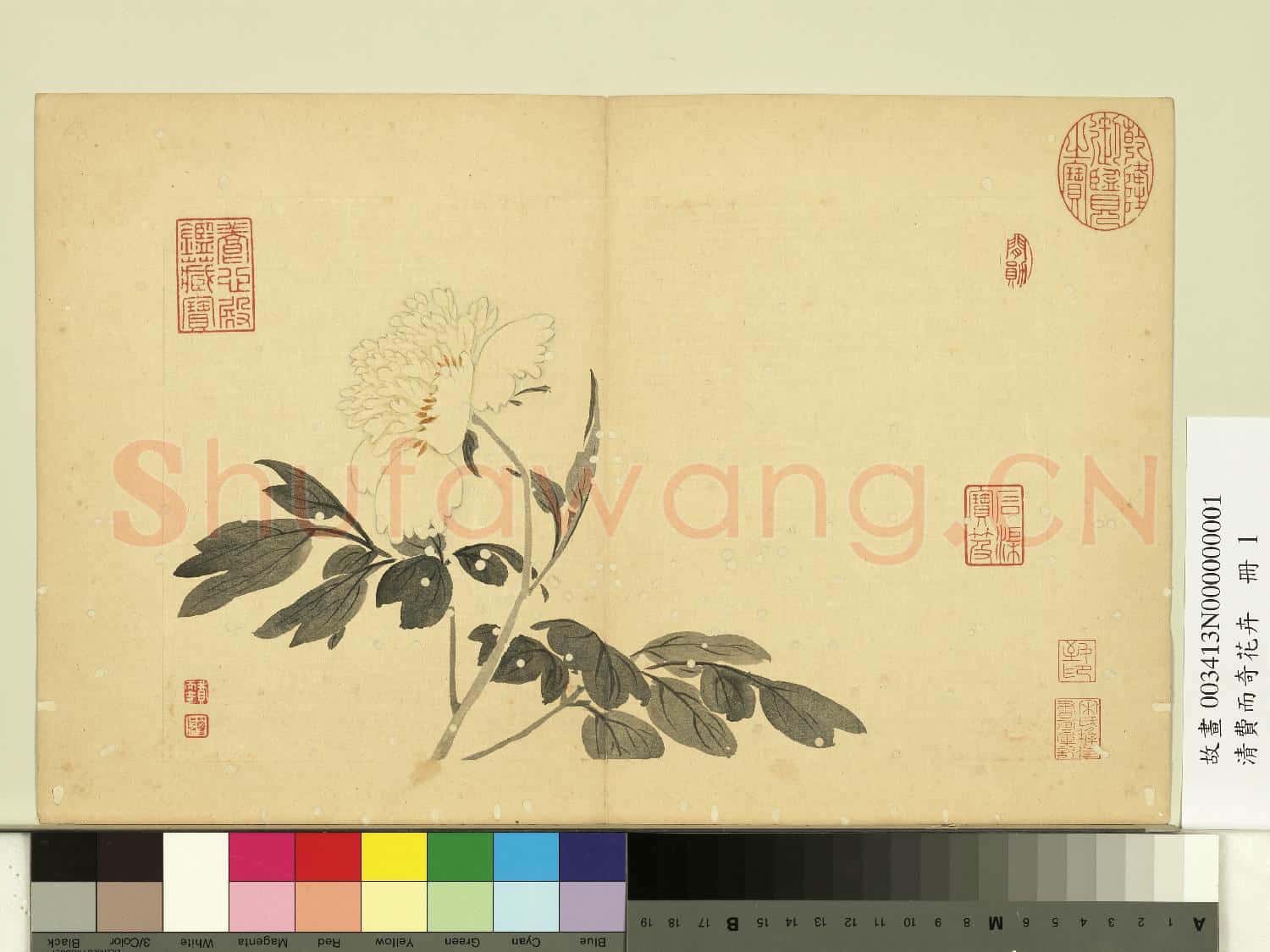 清費而奇花卉.冊.牡丹故畫