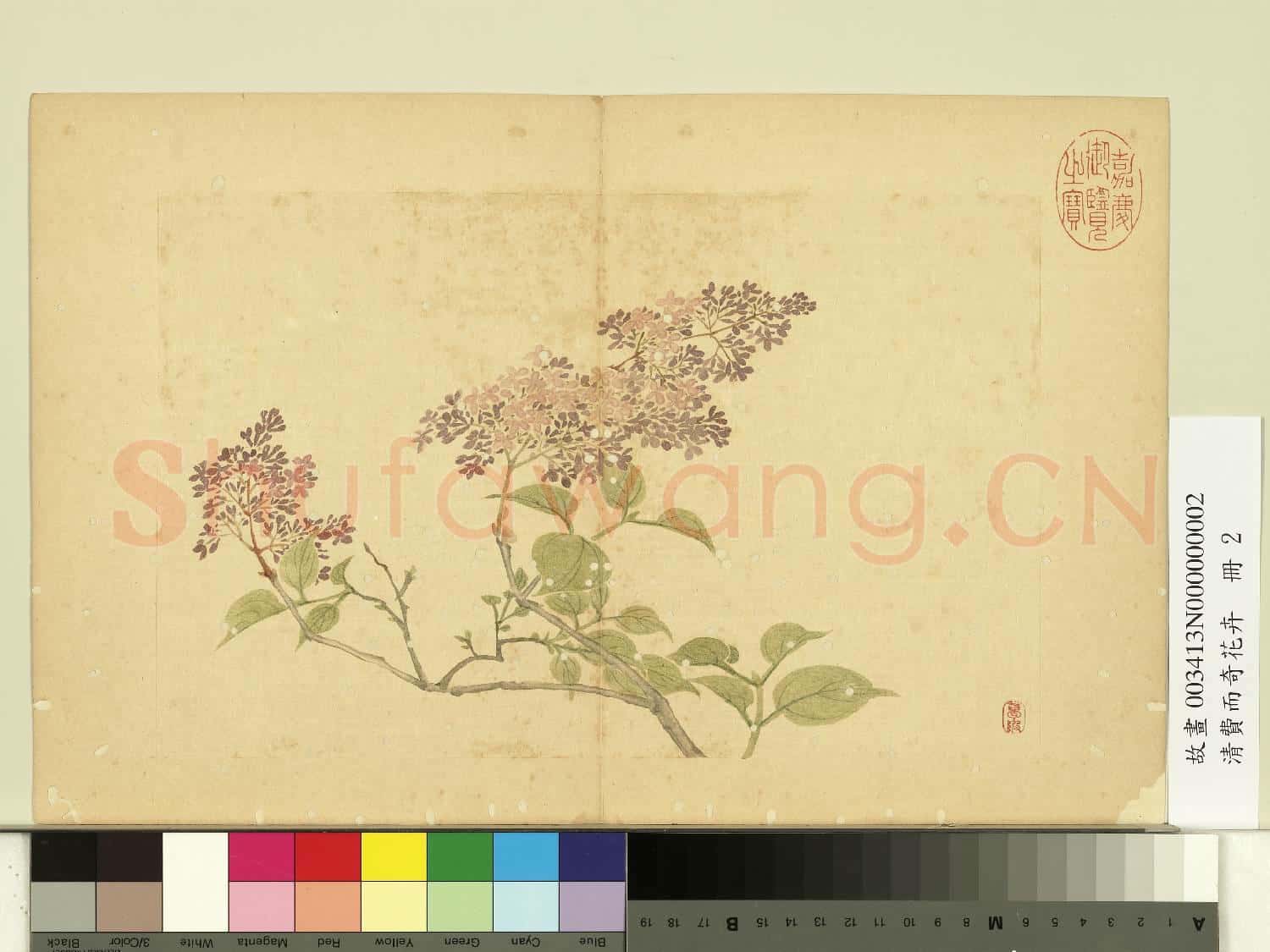 清費而奇花卉.冊.沒骨花卉故畫