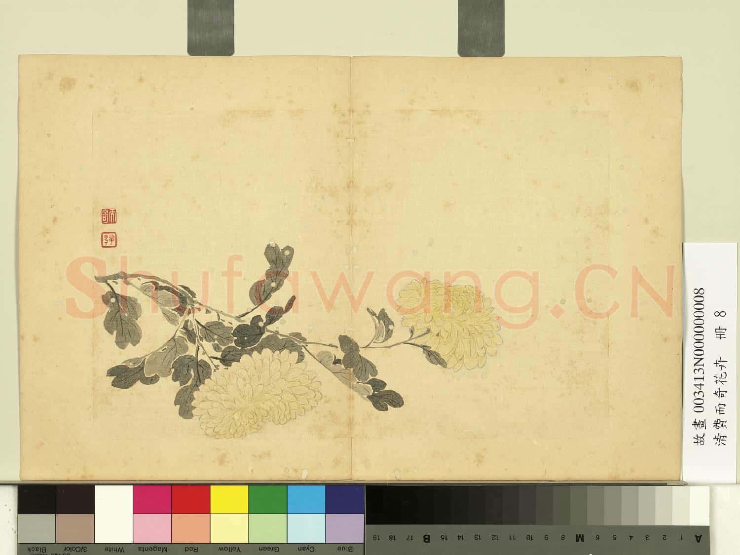 清費而奇花卉.冊.菊花故畫