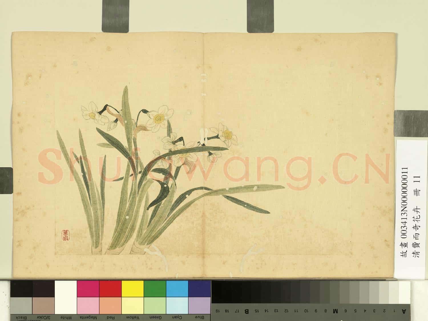清費而奇花卉.冊.水仙故畫