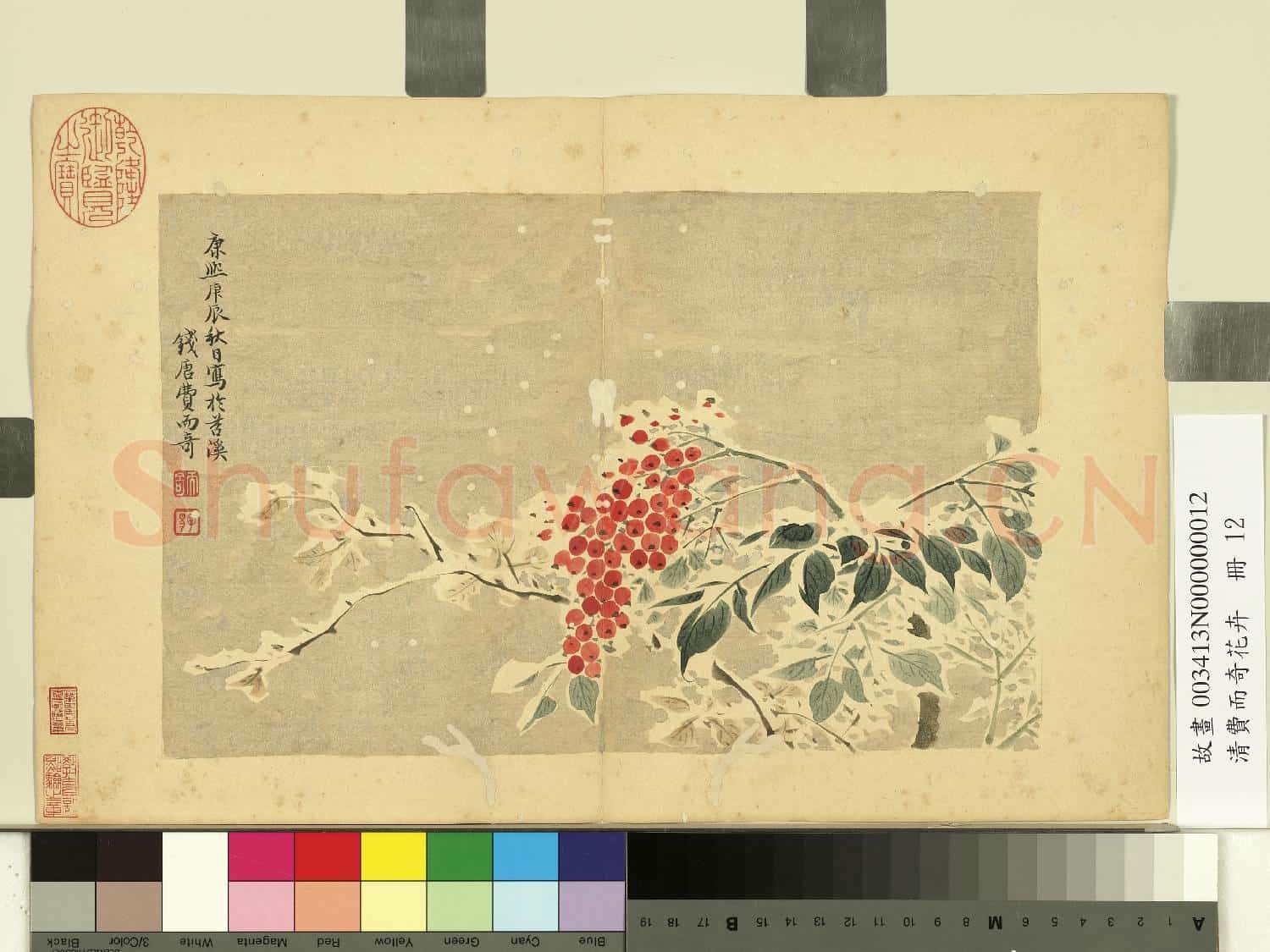 清費而奇花卉.冊.南天竺故畫