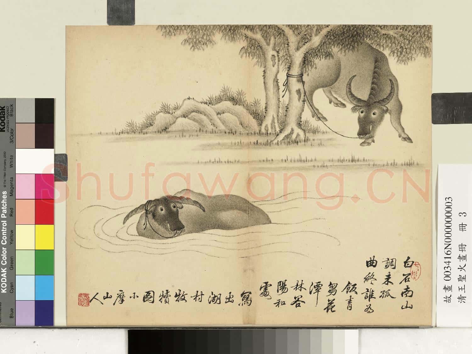 清王聖火畫