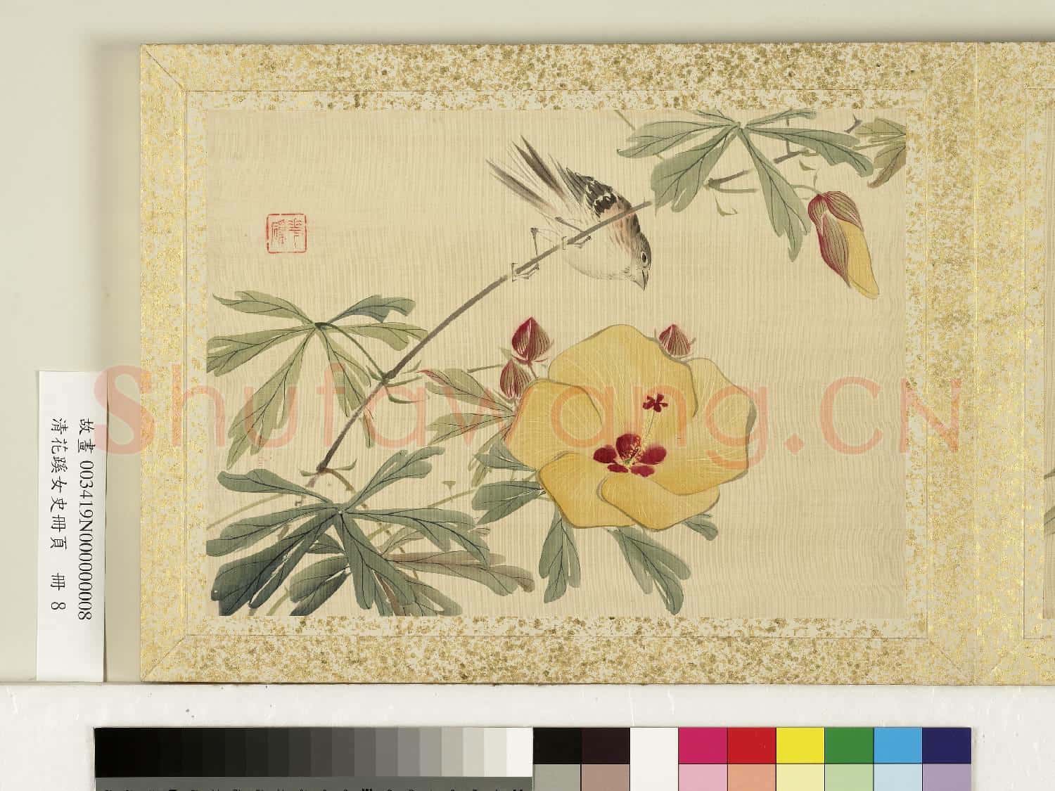 清花蹊女史冊頁.冊.絲瓜麻雀故畫