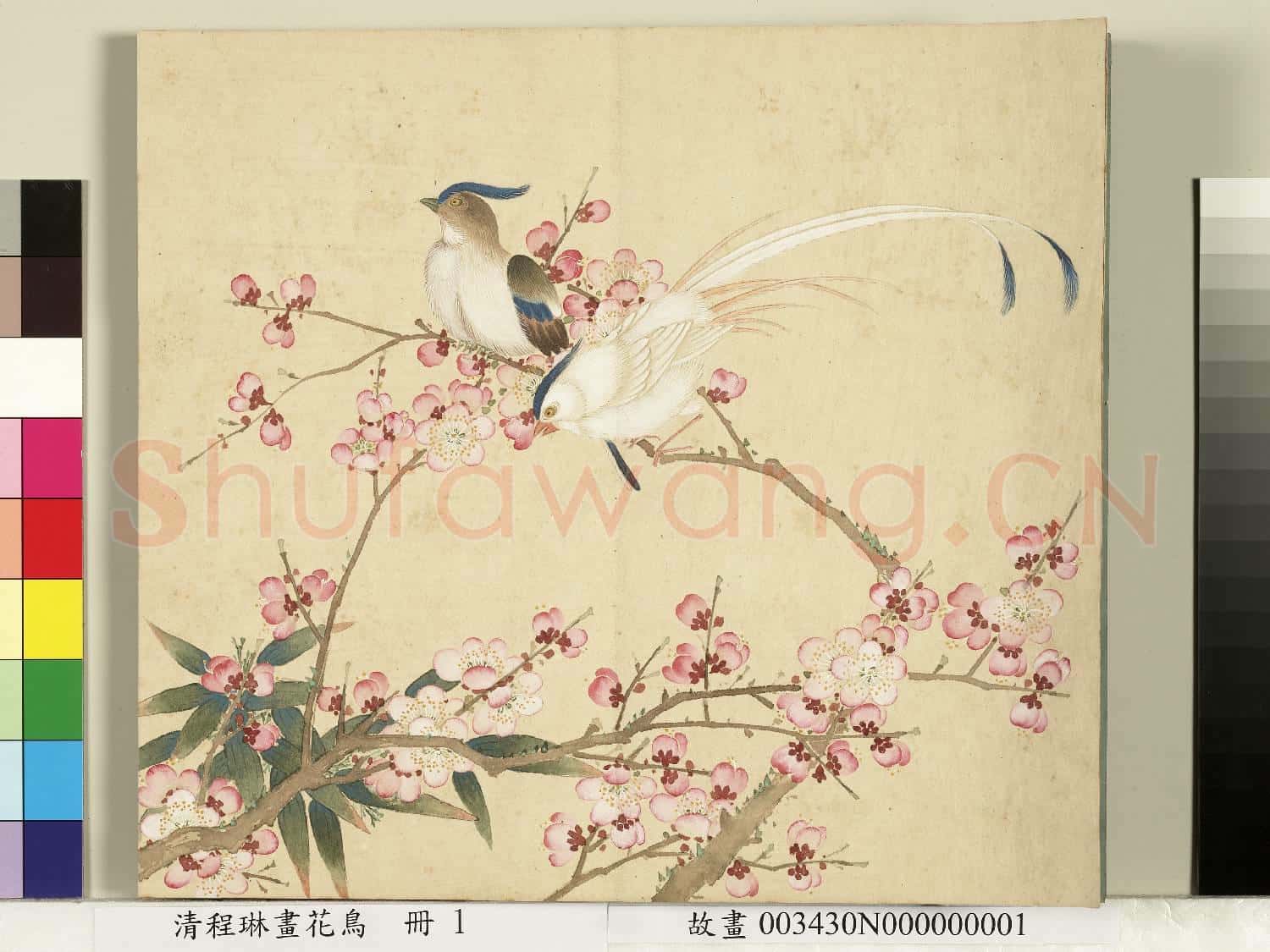 清程琳畫