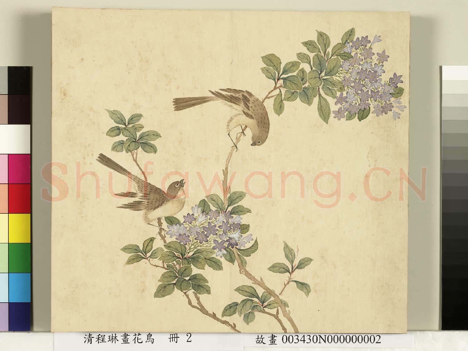 清程琳畫
